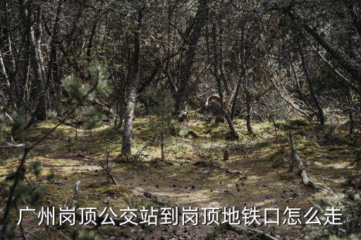 廣州崗頂公交站到崗頂?shù)罔F口怎么走