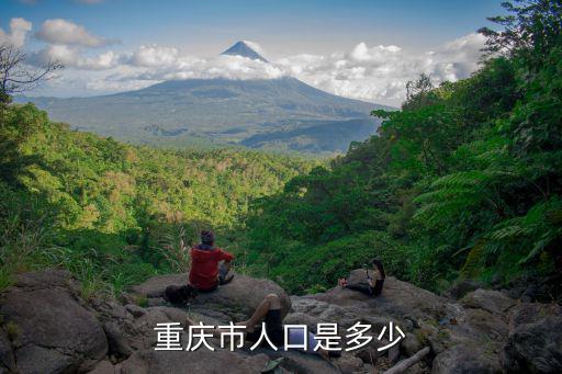 重慶市人口數量變化2018年，2018重慶市上重點的人數是多少