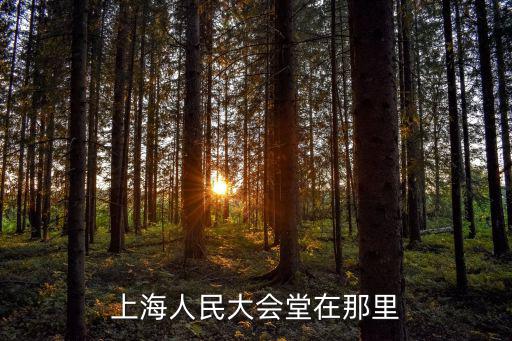 上海人民大會堂在那里