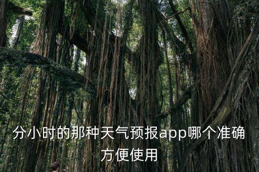 分小時的那種天氣預報app哪個準確方便使用