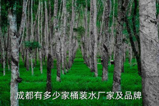 成都有多少家桶裝水廠家及品牌