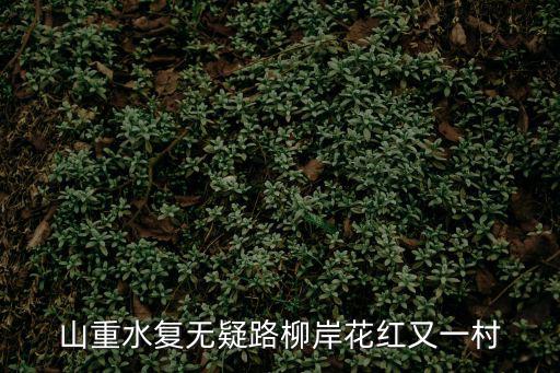 山重水復無疑路柳岸花紅又一村