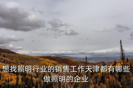 想找照明行業(yè)的銷售工作天津都有哪些做照明的企業(yè)