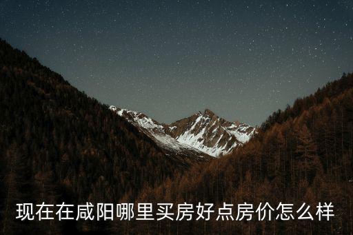 現在在咸陽哪里買房好點房價怎么樣