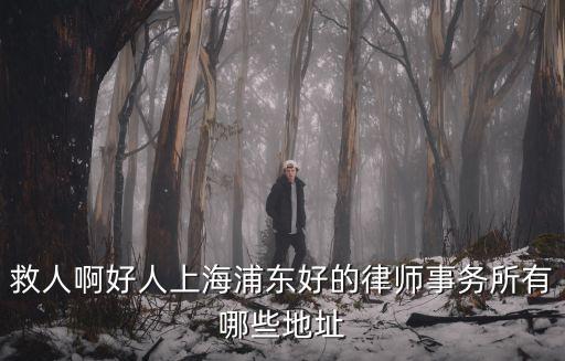 上海市浦東新區律師事務所，上海浦東新區金楊律師事務所