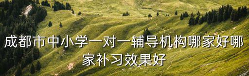 成都市中小學(xué)一對一輔導(dǎo)機(jī)構(gòu)哪家好哪家補(bǔ)習(xí)效果好