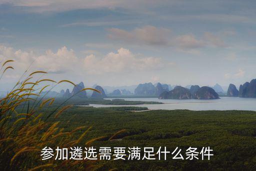 參加遴選需要滿足什么條件