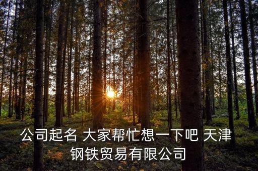 公司起名 大家幫忙想一下吧 天津 鋼鐵貿易有限公司