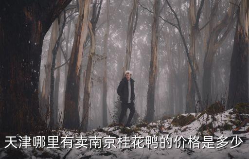 天津哪里有賣南京桂花鴨的價格是多少