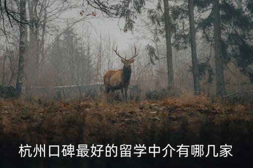 杭州口碑最好的留學中介有哪幾家