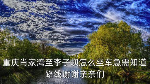 重慶肖家灣至李子壩怎么坐車急需知道路線謝謝親親們