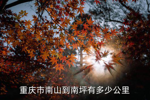 重慶市南山到南坪有多少公里
