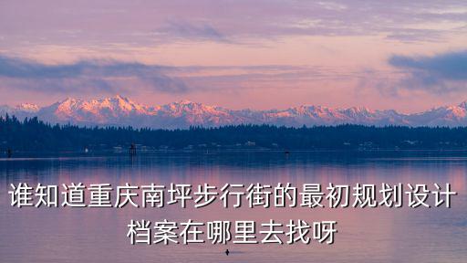 誰知道重慶南坪步行街的最初規劃設計檔案在哪里去找呀