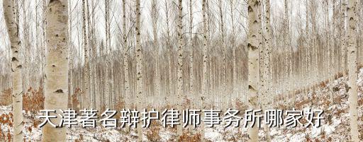 天津著名辯護律師事務(wù)所哪家好