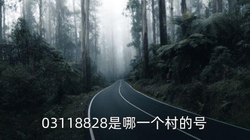 03118828是哪一個村的號