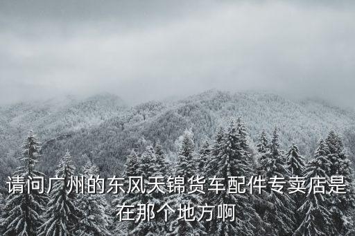 請問廣州的東風天錦貨車配件專賣店是在那個地方啊