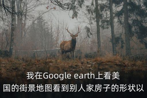 我在Google earth上看美國的街景地圖看到別人家房子的形狀以