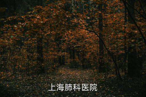 上海市肺科醫院 魯冰，上海市肺科醫院 地鐵怎么走