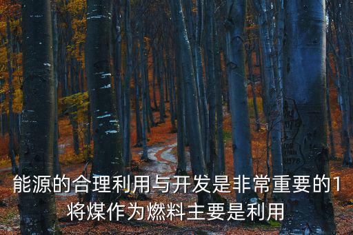 能源的合理利用與開發(fā)是非常重要的1將煤作為燃料主要是利用