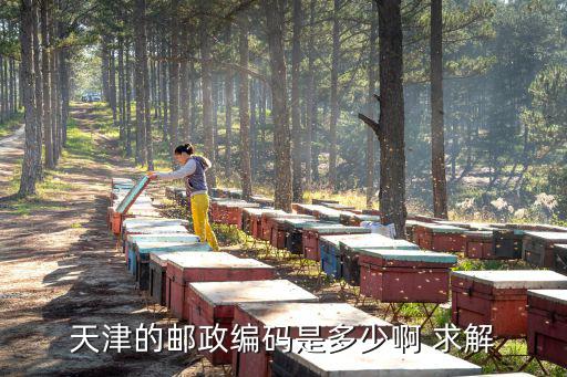 天津市興云里的郵編，天津的郵編區號