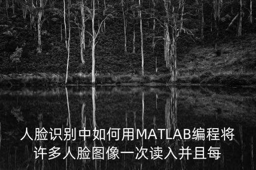 人臉識別中如何用MATLAB編程將許多人臉圖像一次讀入并且每