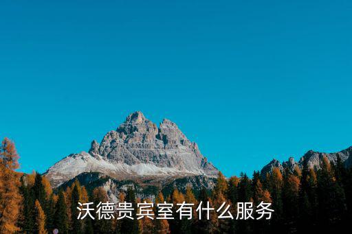 沃德貴賓室有什么服務