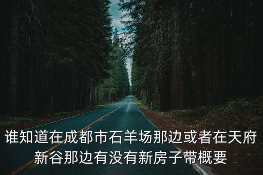 誰知道在成都市石羊場那邊或者在天府新谷那邊有沒有新房子帶概要
