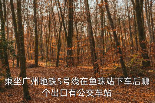 乘坐廣州地鐵5號(hào)線在魚(yú)珠站下車后哪個(gè)出口有公交車站