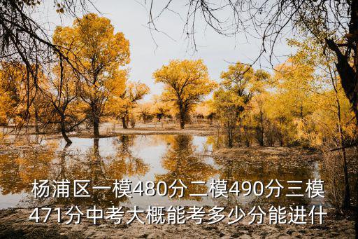 上海市楊浦區2015年語文三模，楊浦區一模480分二模490分三模471分中考大概能考多少分能進什