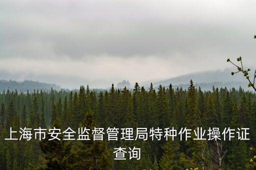 百度上海市安全生產監督管理局官網，上海安監局網站查詢電工證怎么查