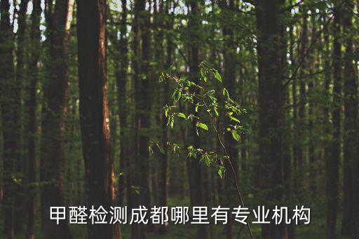 甲醛檢測成都哪里有專業機構