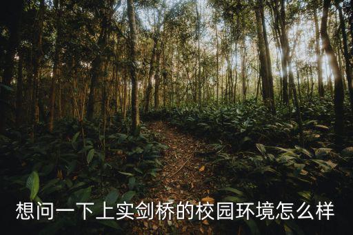 想問一下上實劍橋的校園環境怎么樣
