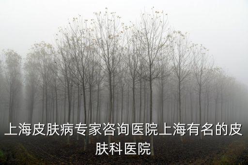 上海皮膚病專家咨詢醫院上海有名的皮膚科醫院