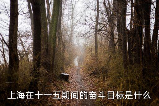 上海在十一五期間的奮斗目標(biāo)是什么