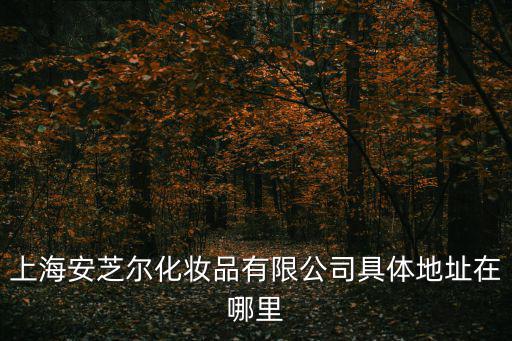 上海安芝爾化妝品有限公司具體地址在哪里