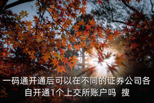 一碼通開通后可以在不同的證券公司各自開通1個上交所賬戶嗎  搜
