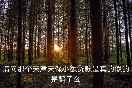 請問那個天津天保小額貸款是真的假的是騙子么