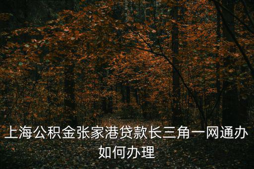 長三角一網通辦平臺官網，上海公積金張家港貸款長三角一網通辦如何辦理