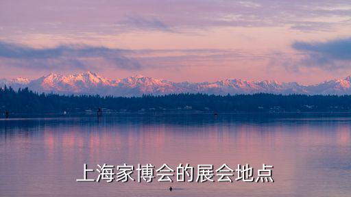 上海家博會的展會地點