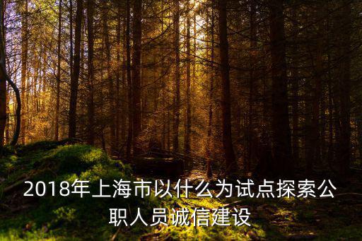 2018年上海市以什么為試點(diǎn)探索公職人員誠(chéng)信建設(shè)
