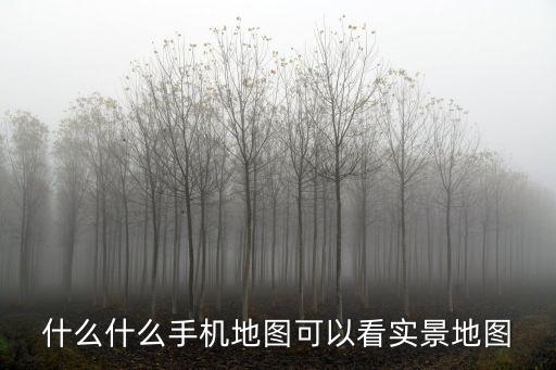 什么什么手機地圖可以看實景地圖