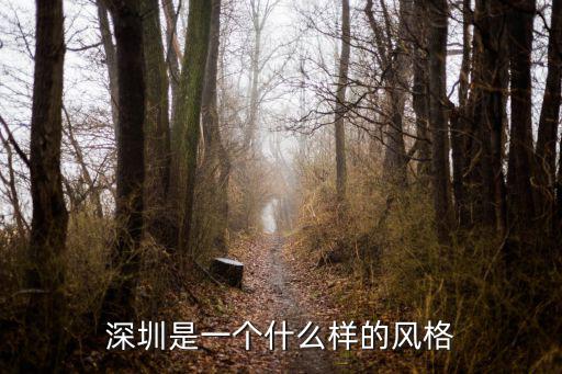 深圳是一個什么樣的風格