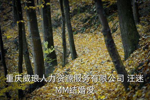 重慶威瑯人力資源服務(wù)有限公司 汪迷MM結(jié)婚沒