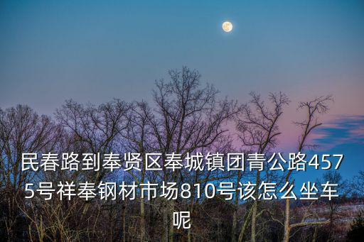 民春路到奉賢區奉城鎮團青公路4575號祥奉鋼材市場810號該怎么坐車呢