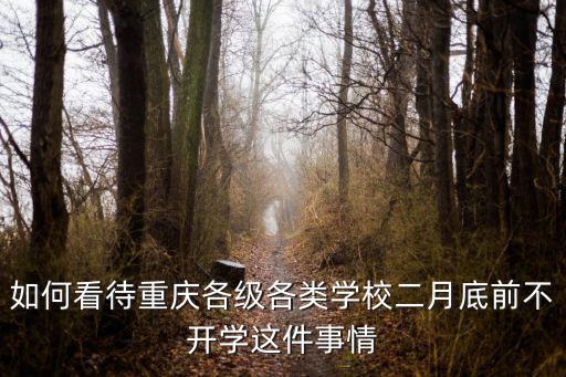 如何看待重慶各級各類學校二月底前不開學這件事情