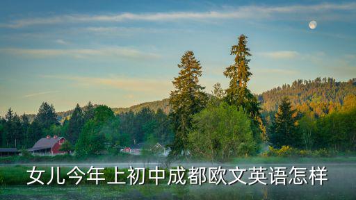 2019年成都市鍋爐調(diào)查，成都有多少家國(guó)美電器