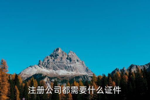 注冊公司都需要什么證件