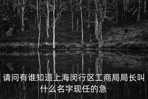 請問有誰知道上海閔行區工商局局長叫什么名字現任的急