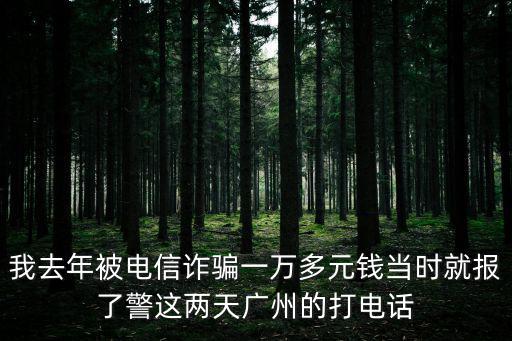 我去年被電信詐騙一萬多元錢當時就報了警這兩天廣州的打電話