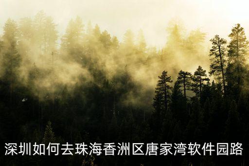 深圳如何去珠海香洲區唐家灣軟件園路